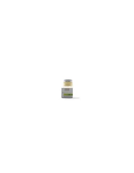 ll-regeneration-night-cream-50ml