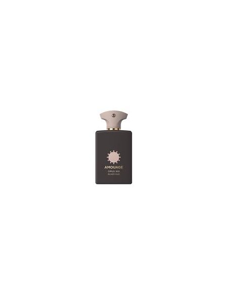 amouage-opus-xiii-silver-oud-edp-100ml